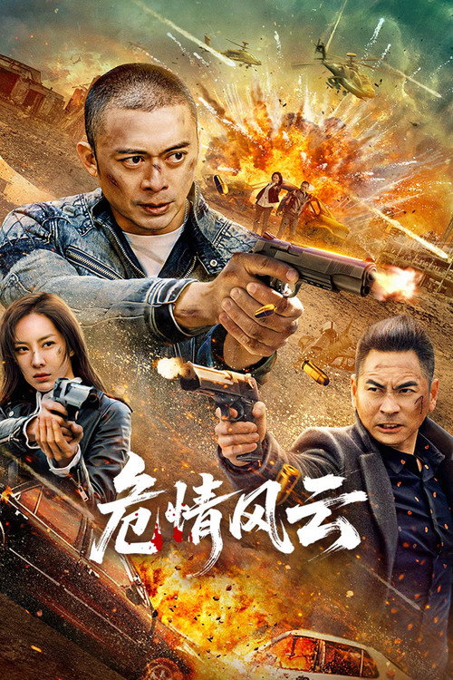 Movie poster for 危情风云 (2025)