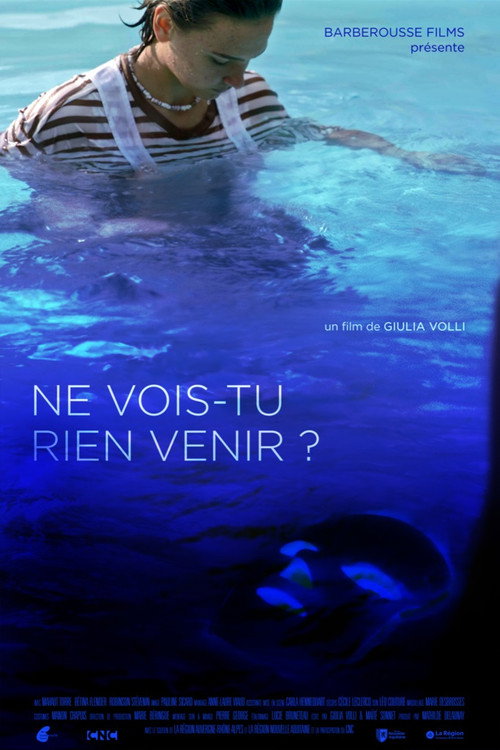 Movie poster for Ne vois-tu rien venir ? (2023)