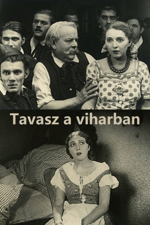 Movie poster for Tavasz a viharban (1929)