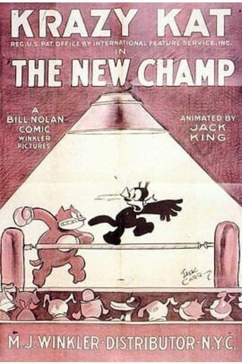 Movie poster for The New Champ (1925)