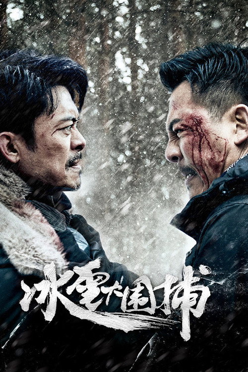 Movie poster for Snowstorm (2024)