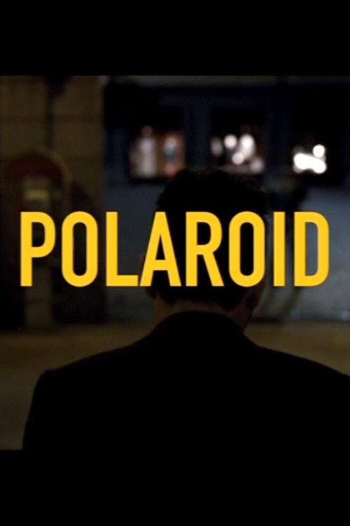 Movie poster for Polaroid (2014)