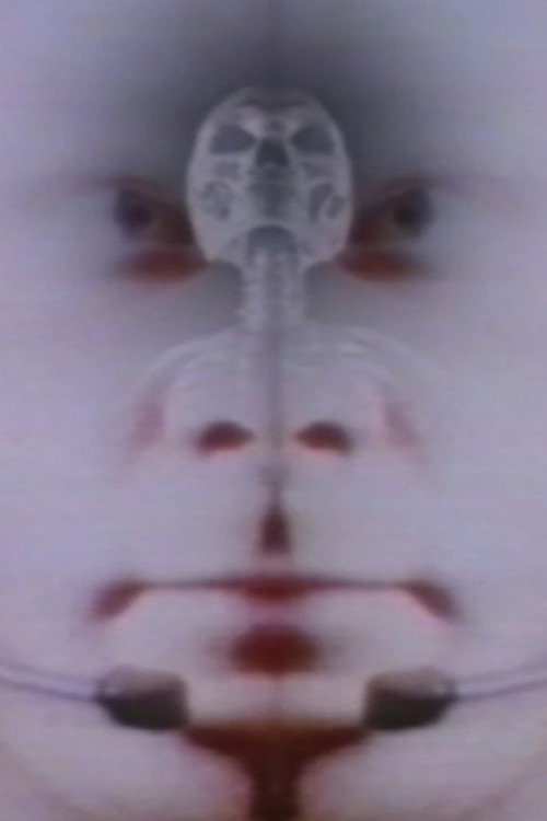 Movie poster for Twice the Universe (1993)
