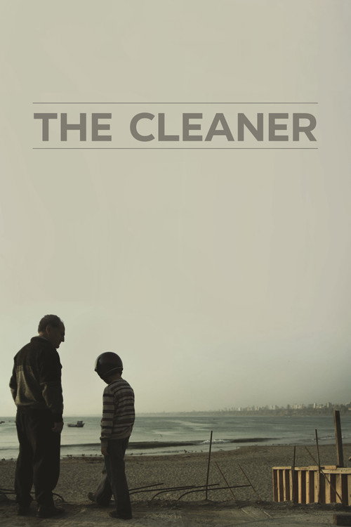 Movie poster for The Cleaner (2013)