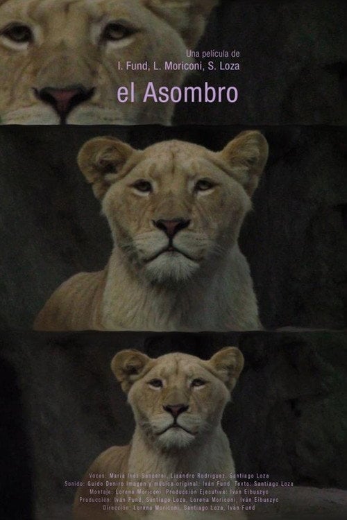 Movie poster for El asombro (2014)