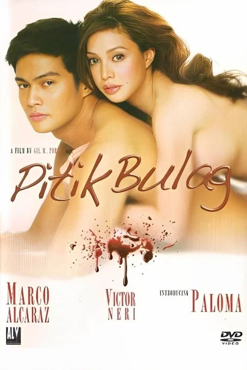 Movie poster for Pitik Bulag (2009)