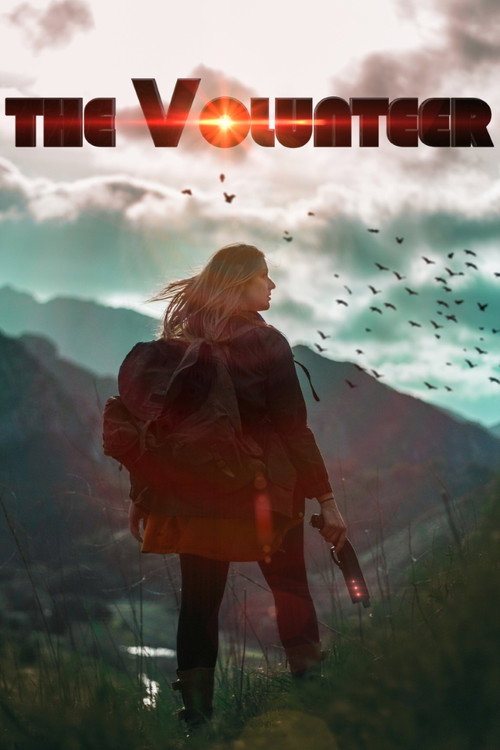 Movie poster for The Volunteer (2016)