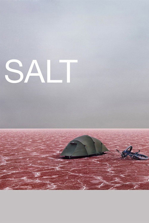 Movie poster for Salt (2009)