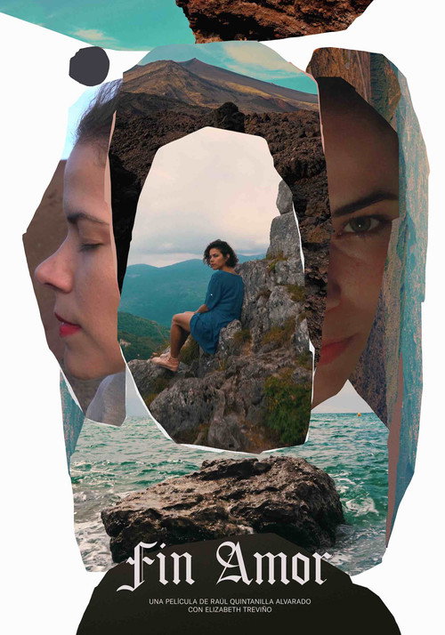Movie poster for Fin Amor (2019)