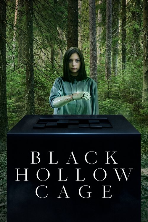 Movie poster for Black Hollow Cage (2017)