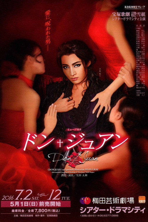 Movie poster for Don Juan (2016)