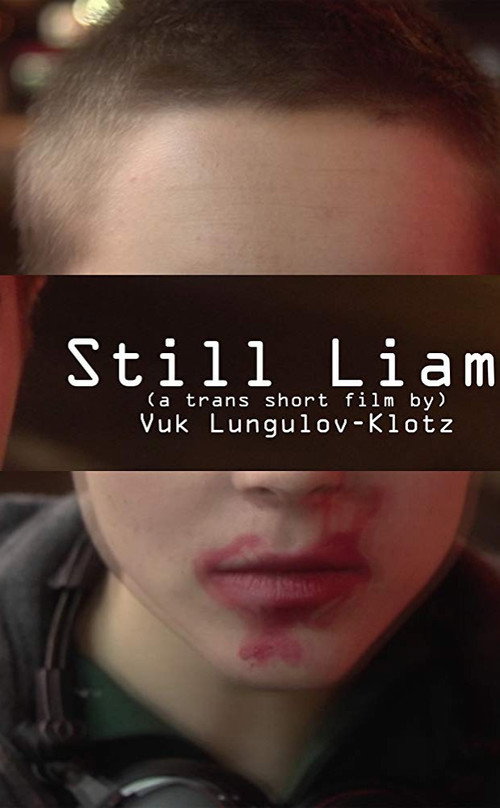 Movie poster for Still Liam (2016)