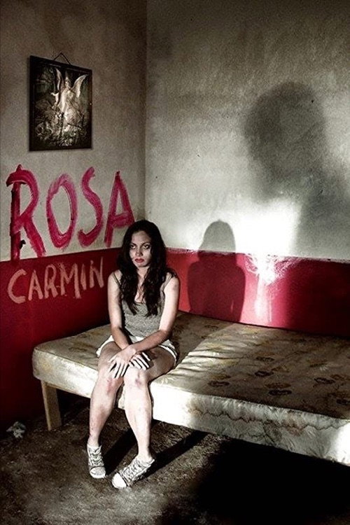 Movie poster for Rosa Carmín (2009)