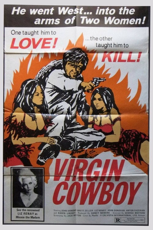 Movie poster for Virgin Cowboy (1975)