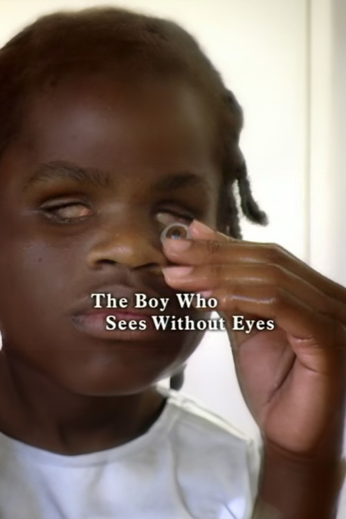 Movie poster for The Boy Who Sees Without Eyes (2007)