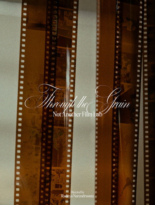 Movie poster for Through the Grain: Not Another Film Lab