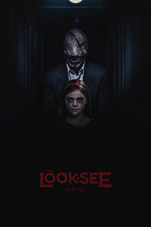 Movie poster for The Look-See (2017)