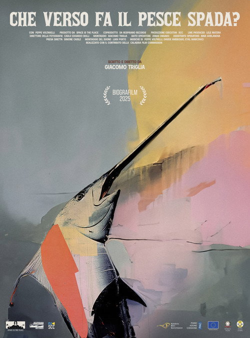 Movie poster for Che verso fa il pesce spada?