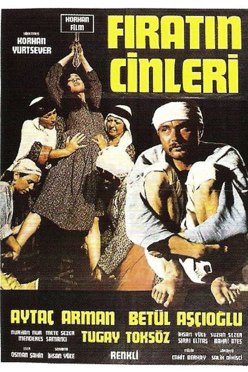 Movie poster for Fırat'ın Cinleri (1978)