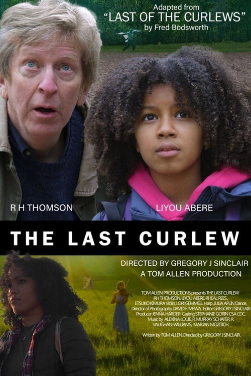 Movie poster for The Last Curlew (2023)