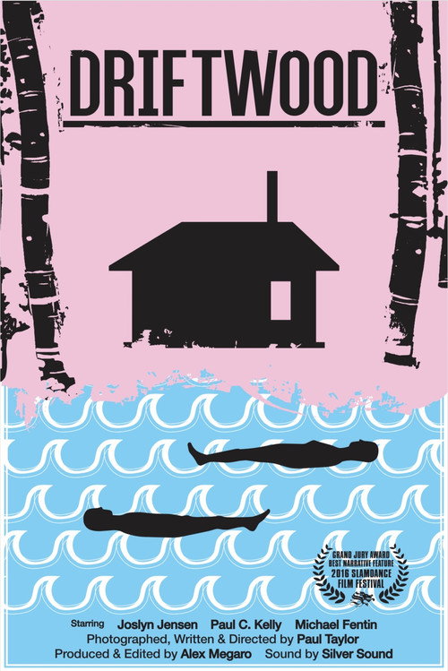 Movie poster for Driftwood (2016)