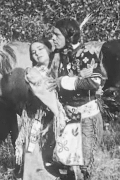 Movie poster for The Cheyenne's Bride (1911)