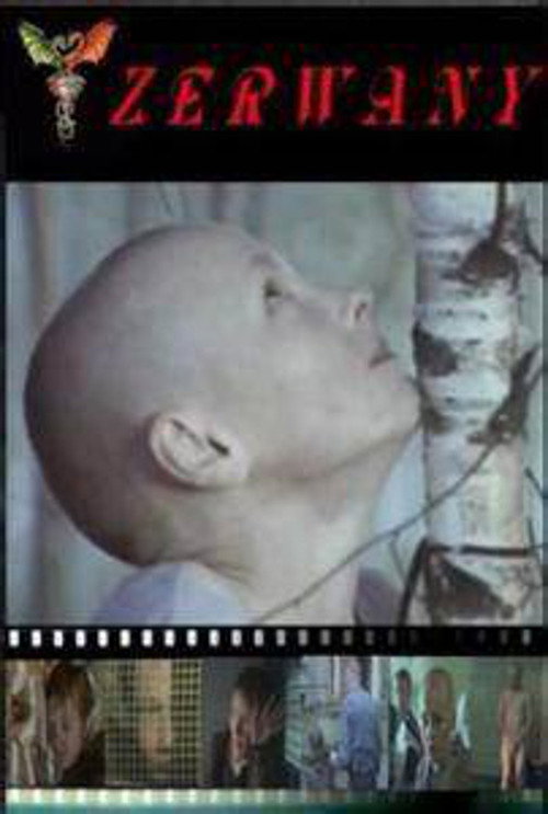 Movie poster for Torn (2003)