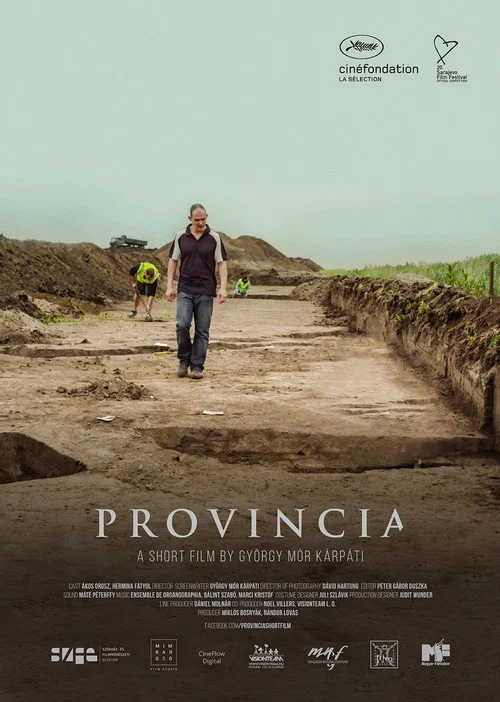 Movie poster for Provincia (2014)