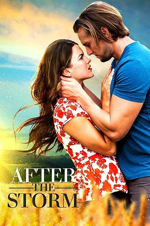 Movie poster for After the Storm (2019)