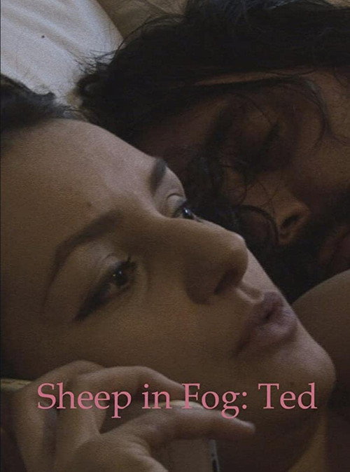 Movie poster for Sheep in Fog (2016)