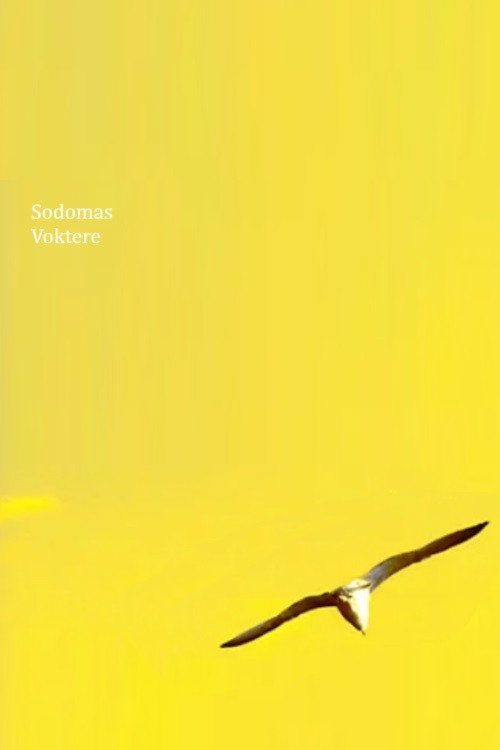 Movie poster for Sodomas Voktere (2022)