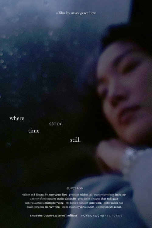 Movie poster for where time stood still (2022)