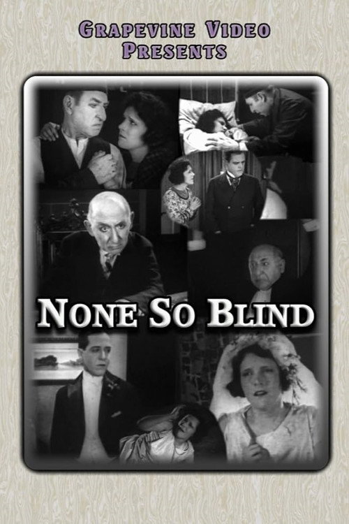 Movie poster for None So Blind (1923)