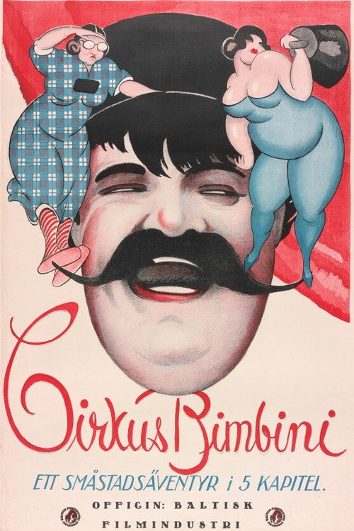 Movie poster for The Bimbini Circus (1921)
