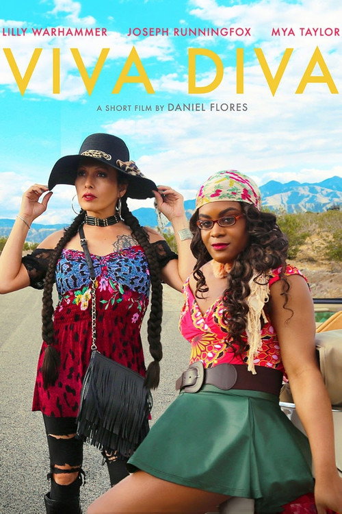 Movie poster for Viva Diva (2017)