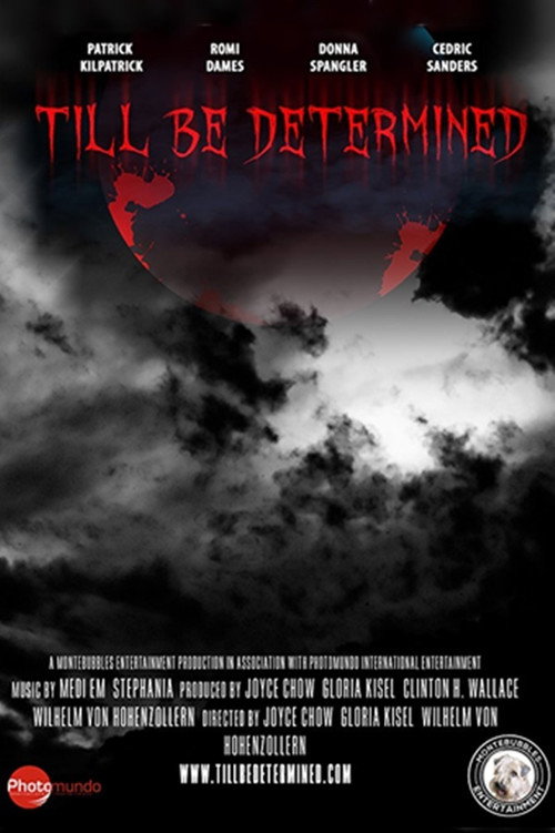 Movie poster for Till Be Determined (2016)