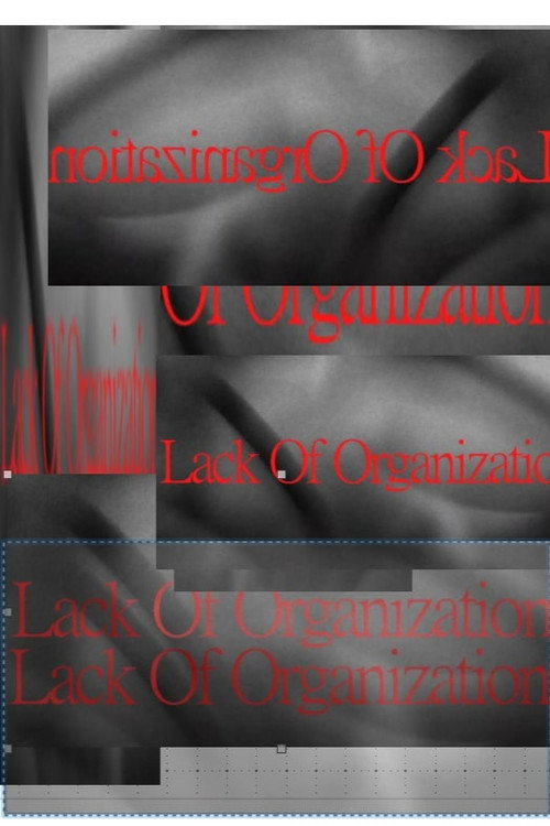 Movie poster for Lack of Organization (2024)