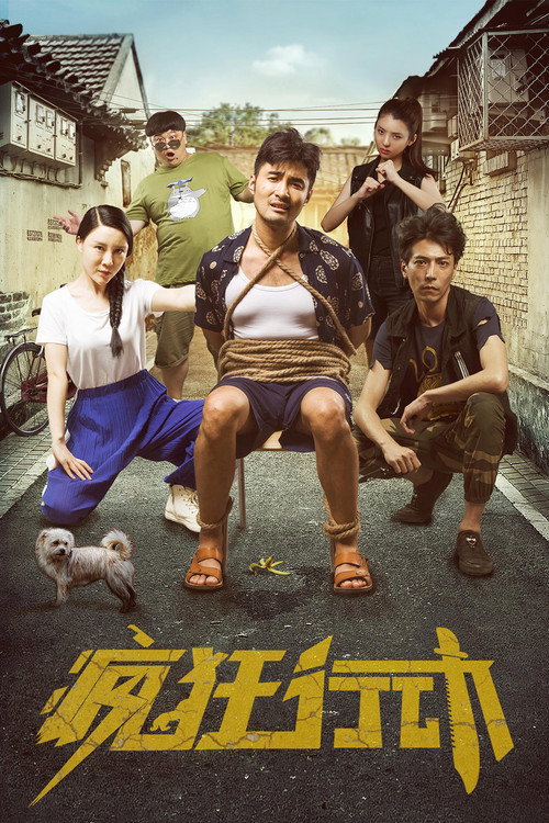 Movie poster for Crazy Action (2019)