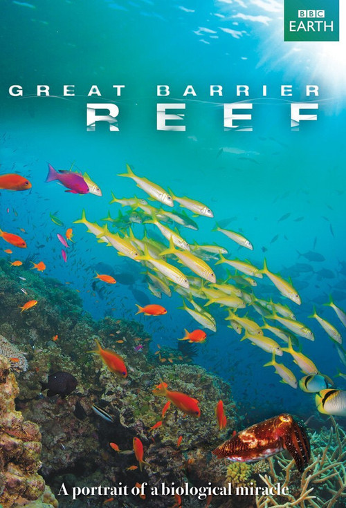 Great Barrier Reef poster