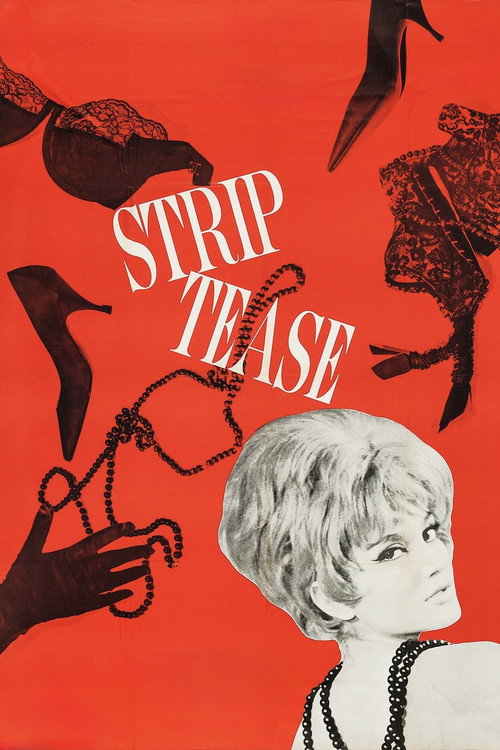 Movie poster for Sweet Skin (1963)