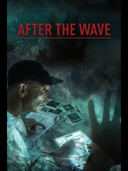 Movie poster for After the Wave (2014)