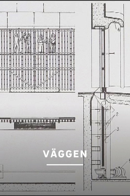 Movie poster for Väggen (2007)