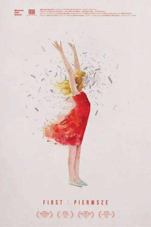 Movie poster for First (2015)