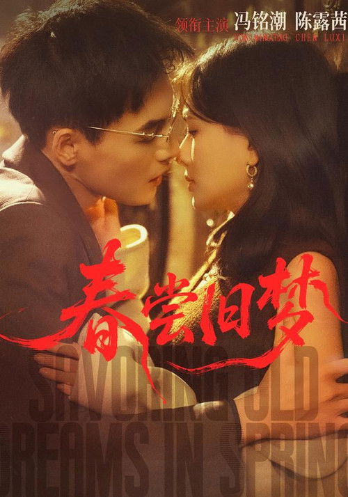 春尝旧梦 poster