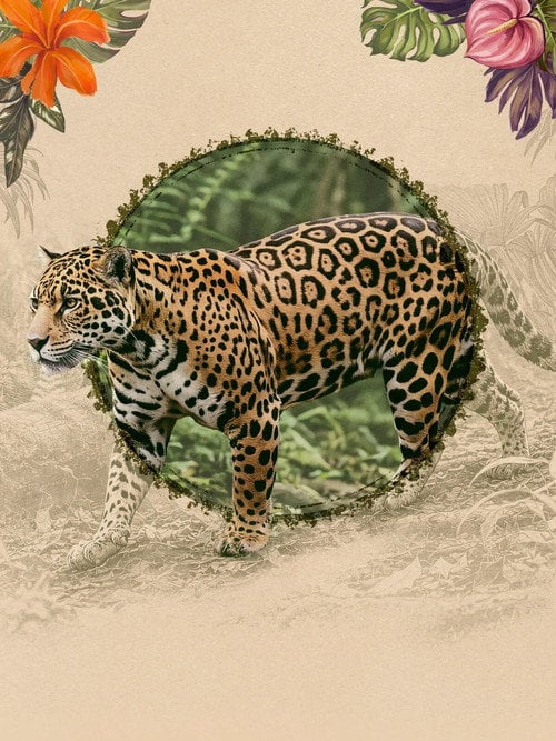 Series poster for Rescue Center (2026)