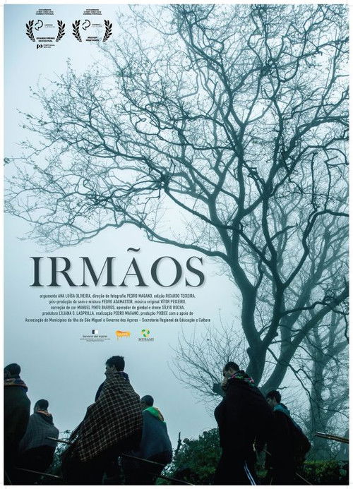 Movie poster for Irmãos (2015)