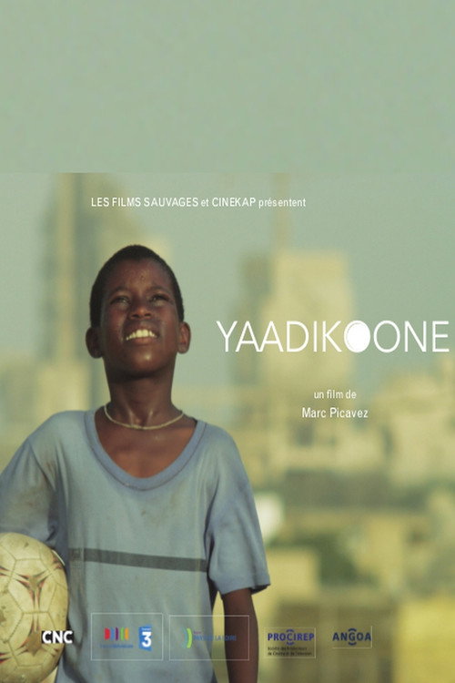 Movie poster for Yaadikoone (2016)