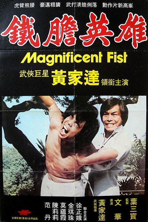 Movie poster for Magnificent Fist (1979)
