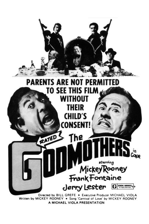 Movie poster for The Godmothers (1973)