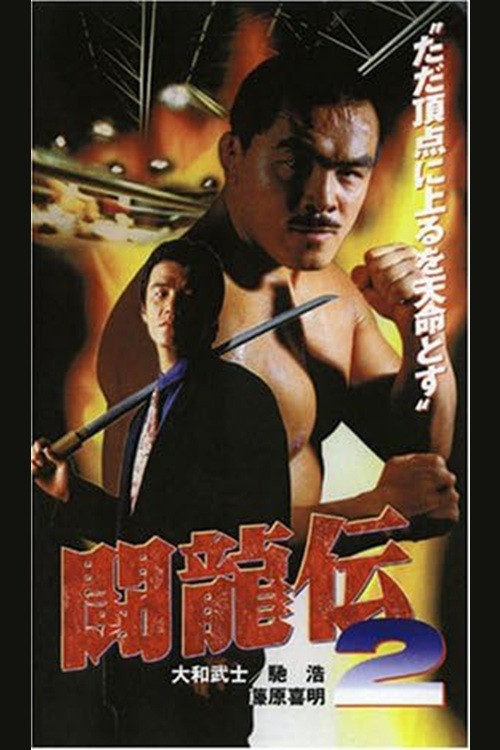 Movie poster for Toryu-den 2 (1995)
